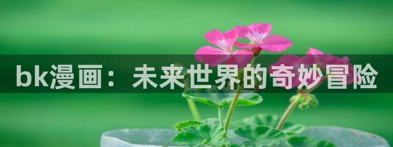秘密教学土豪漫画免费看