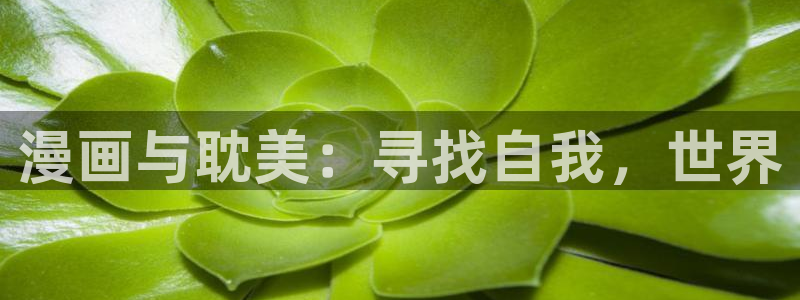 免费读漫画土豪漫画